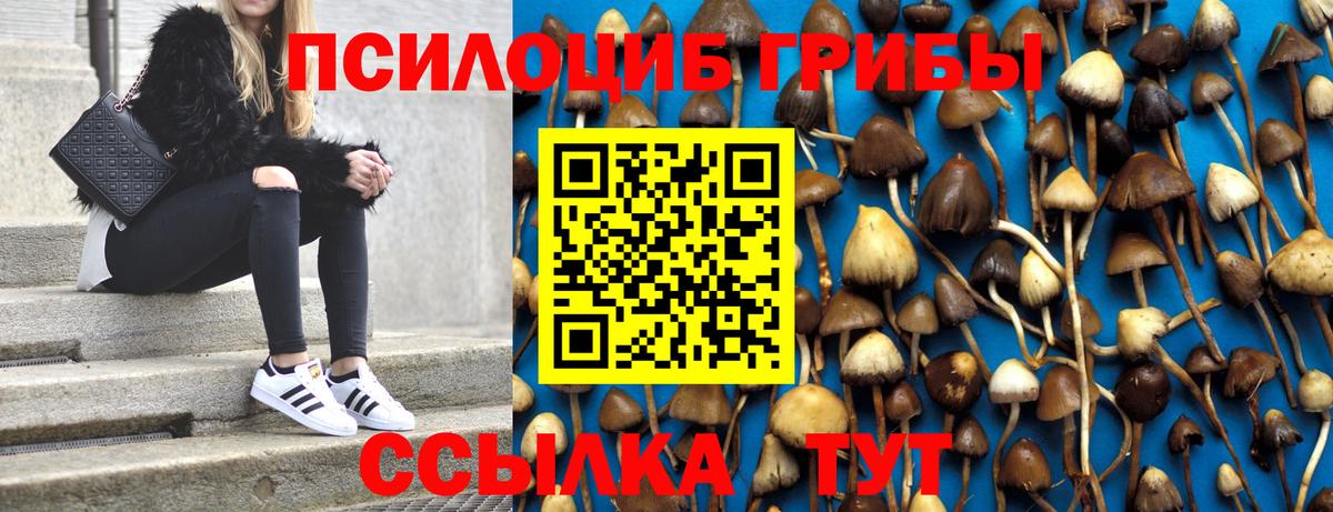 Псилоцибиновые грибы GOLDEN TEACHER Дальнереченск