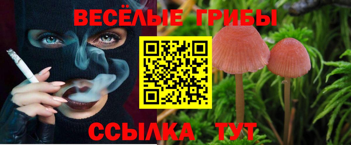 Галлюциногенные грибы ЛСД  Вход с VPN  Дальнереченск 